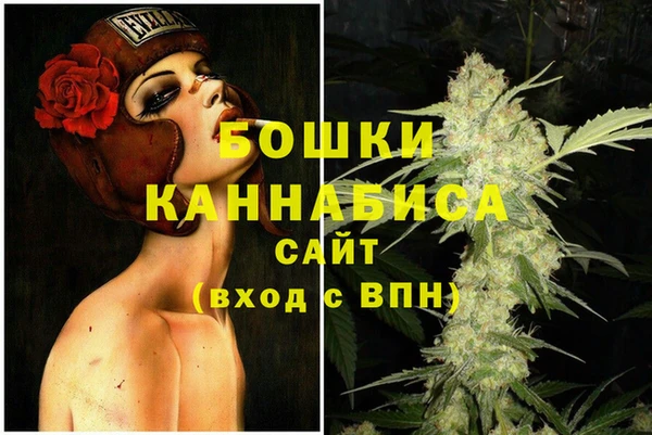 дурь Белокуриха