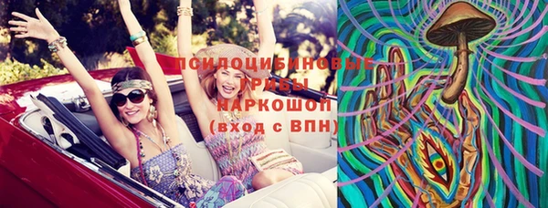 spice Беломорск