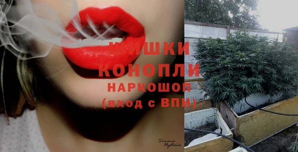 дурь Белокуриха