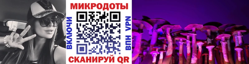 Купить закладки  Салаир  Галлюциногенные грибы MAGIC MUSHROOMS 